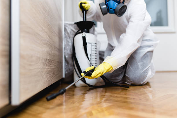 Best Exterminator Services  in Samsula Spruce Creek, FL