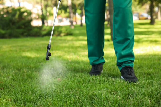 Best Emergency Pest Control  in Samsula Spruce Creek, FL