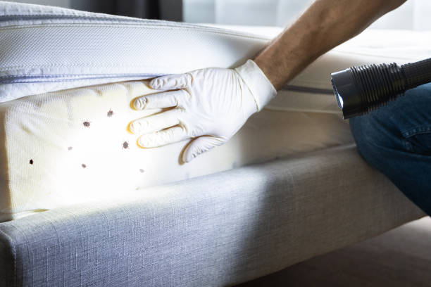 Pest Control for Restaurants in Samsula Spruce Creek, FL