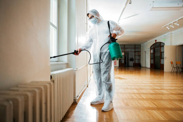 Best Flea Control Services  in Samsula Spruce Creek, FL